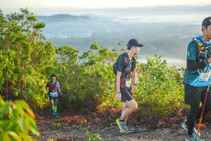 BIB: 219
                            <button type="button" onclick="openModal(21874433)" class="btn btn-primary btn-sm float-right btn-popup" data-toggle="modal" data-target=".modal-high-quality">
                        <i class="fas fa-shopping-cart"></i> Add to Cart
                    </button>
                                            <button type="button" onclick="isThisMe(21874433, true)" class="btn btn-success btn-sm float-right btn-popup btn-isme hidden" data-toggle="tooltip" data-placement="bottom" title="นี่คือรูปของคุณใช่ไหม คลิกที่นี่เพื่อเอาเข้าอัลบั้ม">
                        <i class="fas fa-plus"></i> Add to album
                    </button>
                    <button type="button" onclick="isThisMe(21874433, false)" class="btn btn-warning btn-sm float-right btn-popup btn-isnotme hidden">
                        <i class="fas fa-ban"></i> Remove from album
                    </button>